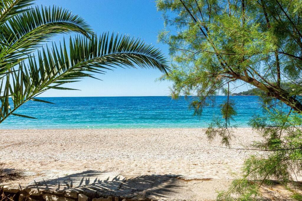 Potamsea Bliss 3 - Front, Sun Beds & Parking * Himare